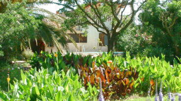 Mallorca Fincavermietung - Mallorca Ferienhaus - Mallorca Urlaub - Urlaub in Pollensa