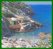 Mallorca Fincavermietung - Mallorca Ferienhaus - Mallorca Urlaub - Urlaub in Pollensa