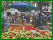 Mallorca Fincavermietung - Mallorca Ferienhaus - Mallorca Urlaub - Urlaub in Pollensa