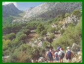 Mallorca Fincavermietung - Mallorca Ferienhaus - Mallorca Urlaub - Urlaub in Pollensa